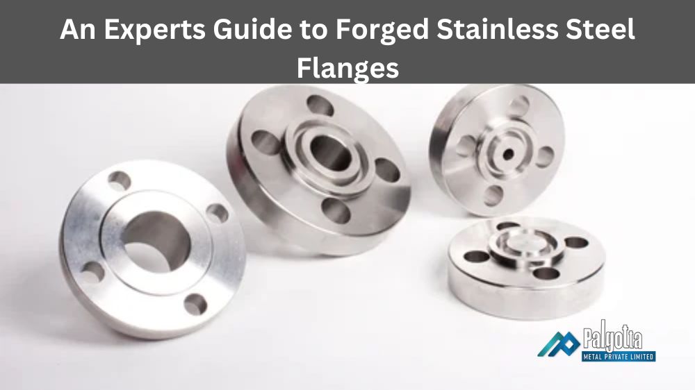 Forged Stainless Steel Flanges