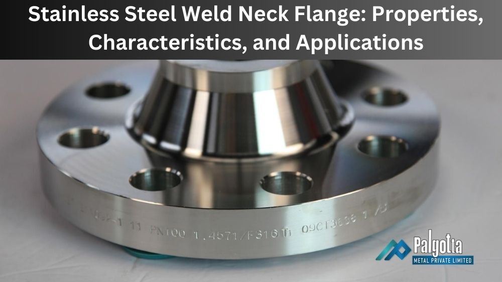 Stainless Steel Weld Neck Flange