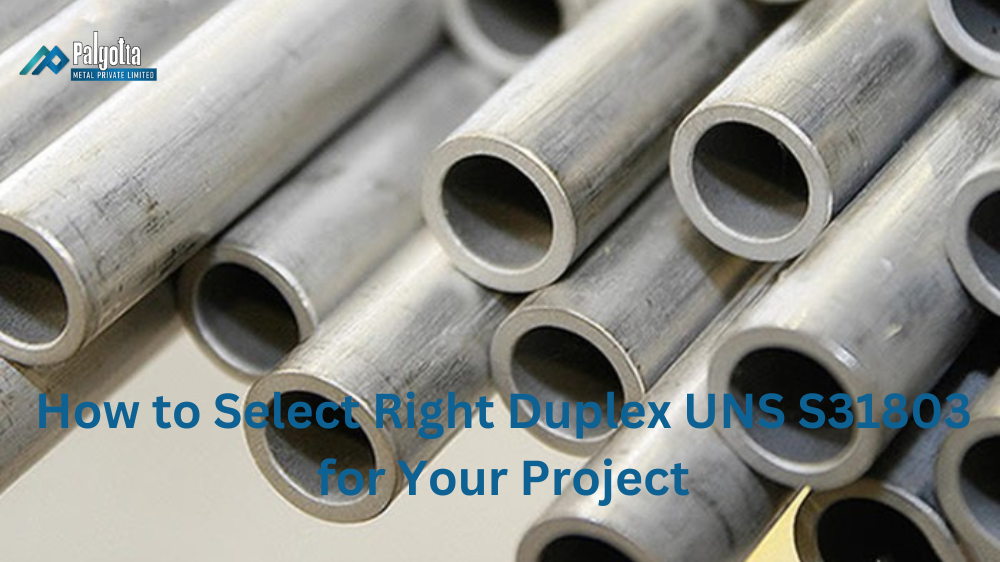 How to Select the Right Duplex UNS S31803 for Your Project?