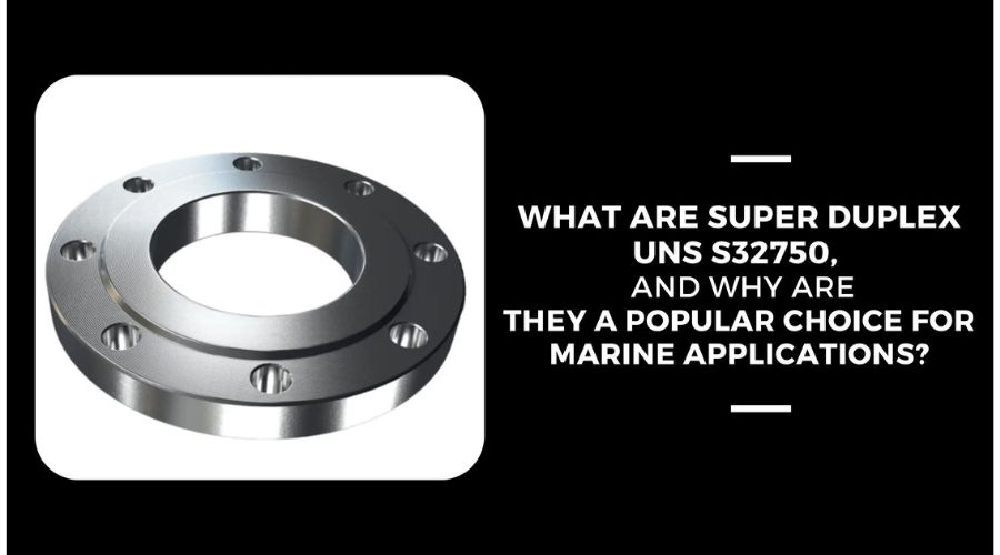 Super Duplex UNS S32750 Flanges